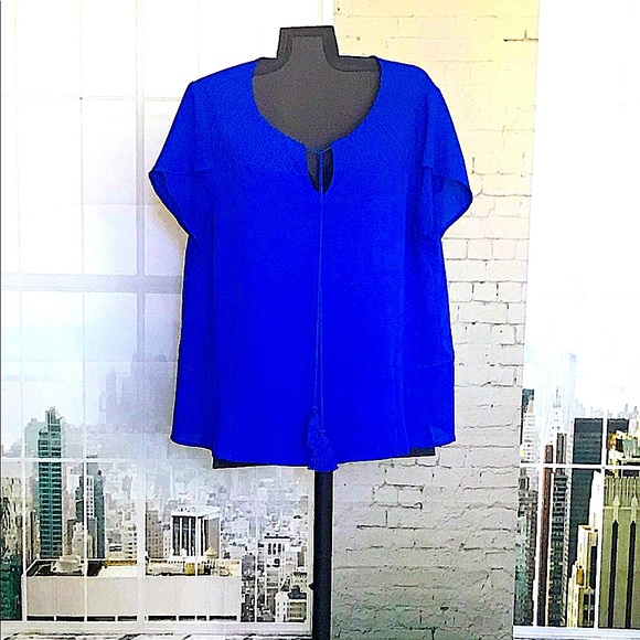 BOLD! Eden Society Cobalt Blue Top - Picture 3 of 8
